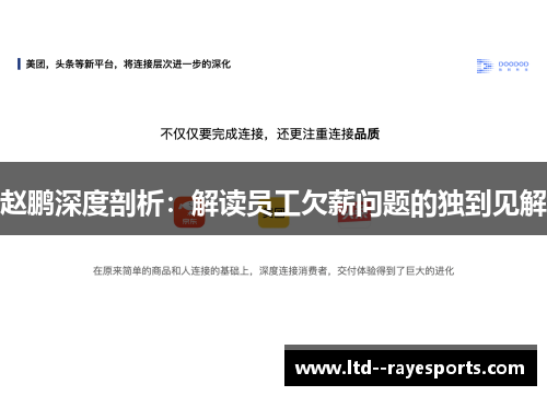 赵鹏深度剖析：解读员工欠薪问题的独到见解
