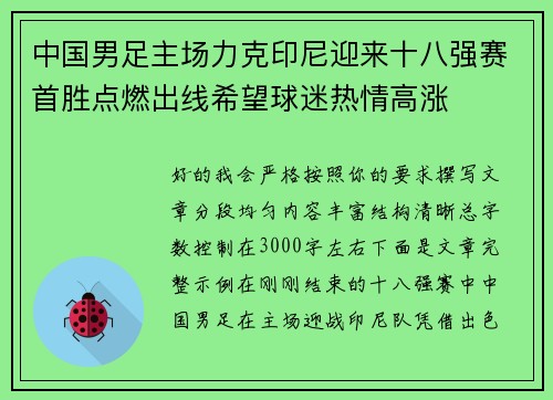 中国男足主场力克印尼迎来十八强赛首胜点燃出线希望球迷热情高涨